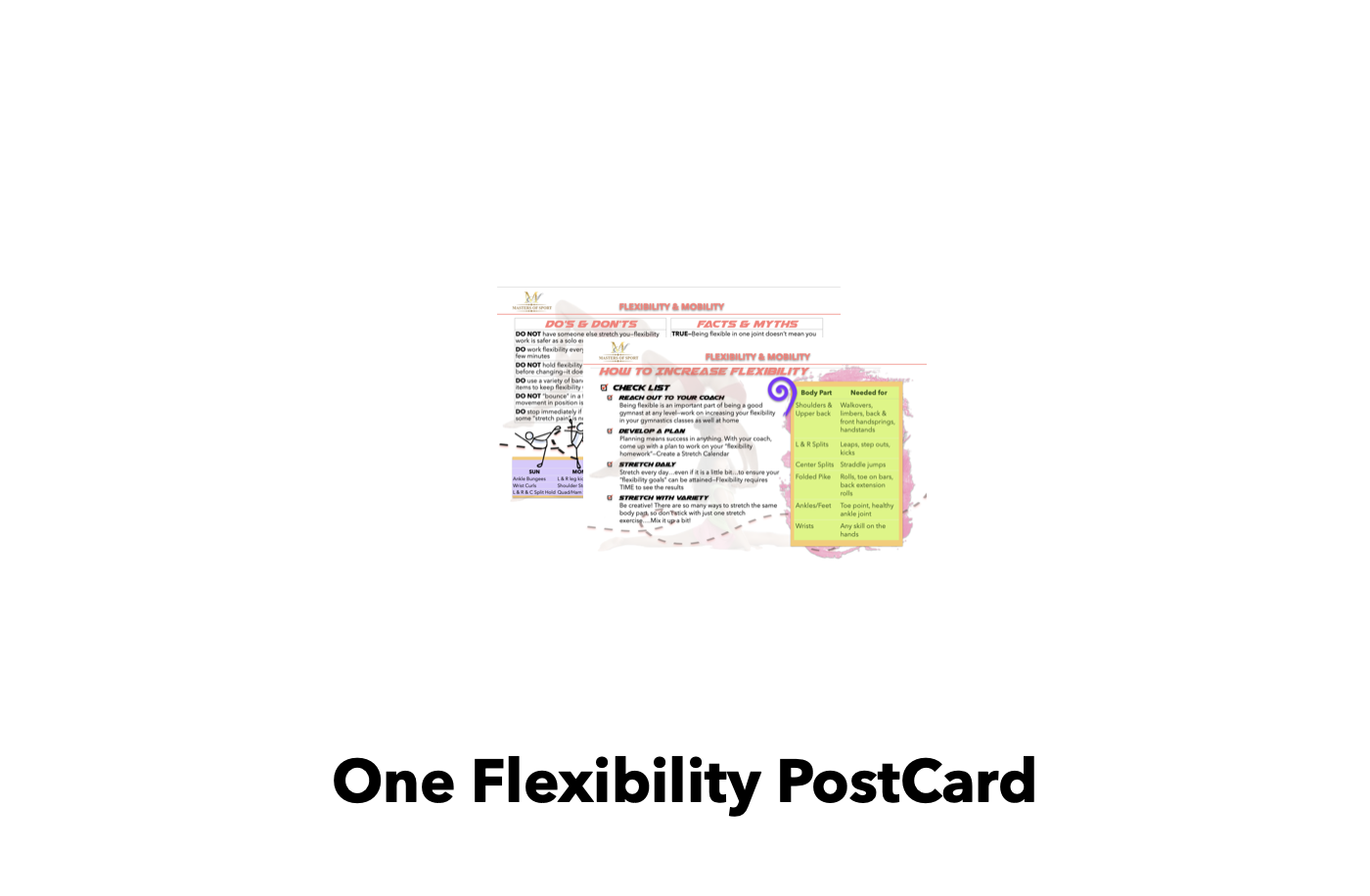 One Flexibility PostCard